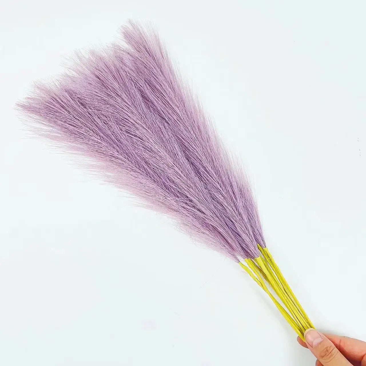 DecorBites™ Fluffy Pampas Grass Boho Decor Pampas Grass.